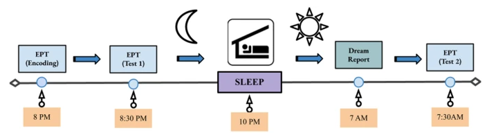 Исследование влияния сна на эмоциональную регуляцию Исследование влияния сна на эмоциональную регуляцию